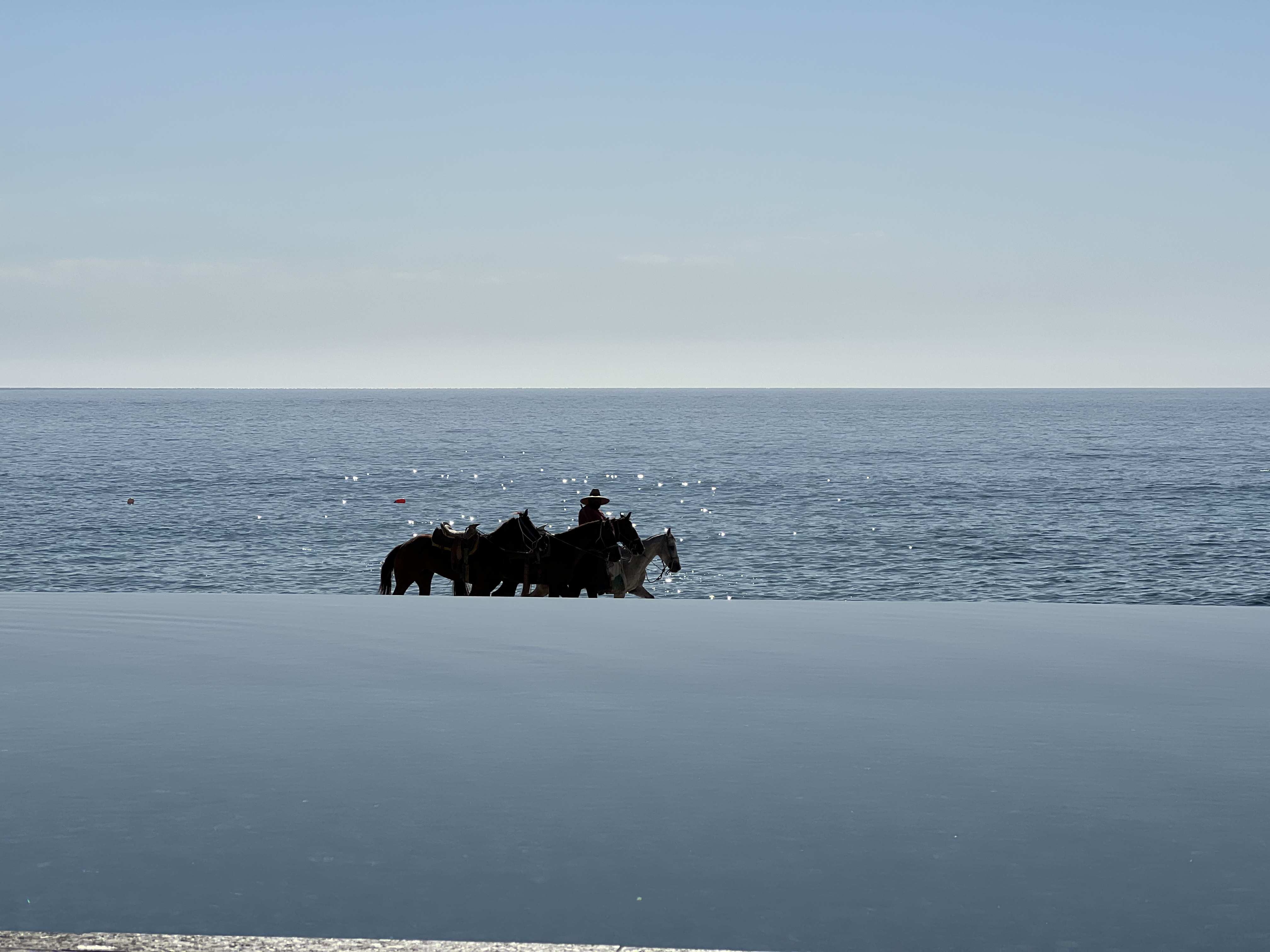 ./2024/13 - Cabo/IMG_4595.jpg